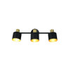 Lampa sufitowa, reflektorek EVA 868800380 Trio