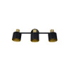 Lampa sufitowa, reflektorek EVA 868800380 Trio