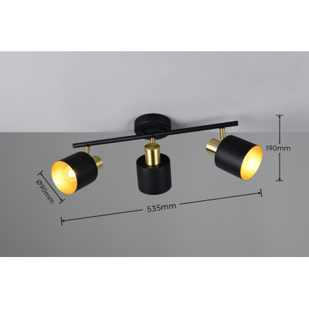 Lampa sufitowa, reflektorek EVA 868800380 Trio