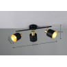 Lampa sufitowa, reflektorek EVA 868800380 Trio