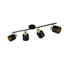 Lampa sufitowa, reflektorek EVA 868800480 Trio