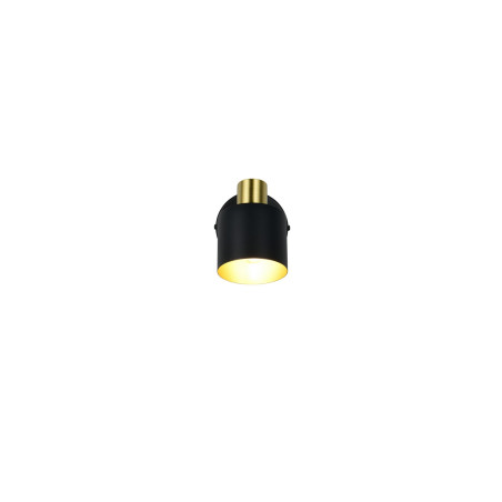 Lampa sufitowa, reflektorek EVA 868870180 Trio
