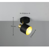 Lampa sufitowa, reflektorek EVA 868870180 Trio