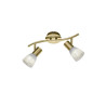 Lampa sufitowa, reflektorek LEVISTO 871010208 Trio