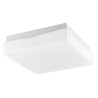 Lampa sufitowa LORENZO LE42448 Luces Exclusivas