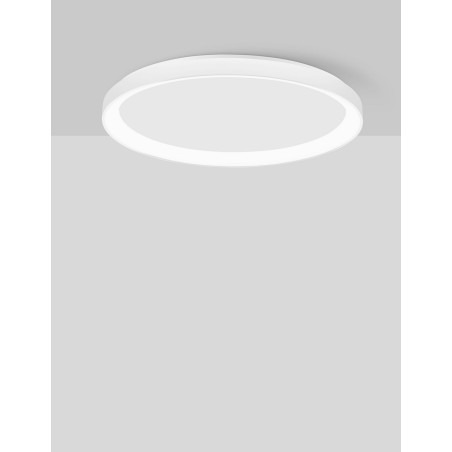 Lampa sufitowa ROTA LE43525 Luces Exclusivas