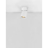 Lampa sufitowa, reflektorek GALVEZ LE44406 Luces Exclusivas