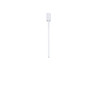Lampa sufitowa ABAPO LE44696 Luces Exclusivas