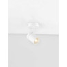Reflektorek AGUAYTIA LE44979 Luces Exclusivas