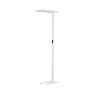 Lampa podłogowa CENZIRA LE45413 Luces Exclusivas