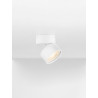 Oczko natynkowe MALERTA LE45518 Luces Exclusivas