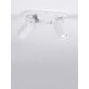 Reflektorek LUNBIRA LE45659 Luces Exclusivas