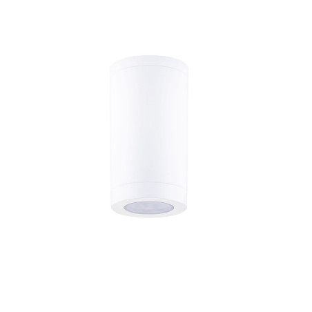 Lampa zewnętrzna sufitowa TARAPOTO LE73773 Luces Exclusivas