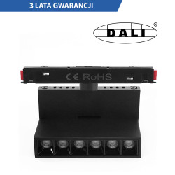 Lampa Magnetyczna DDCX-GDZD6 6W DALI CCT DomenoLED