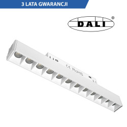Lampa magnetyczna DDCX-GS12-220 12W DALI biały DomenoLED