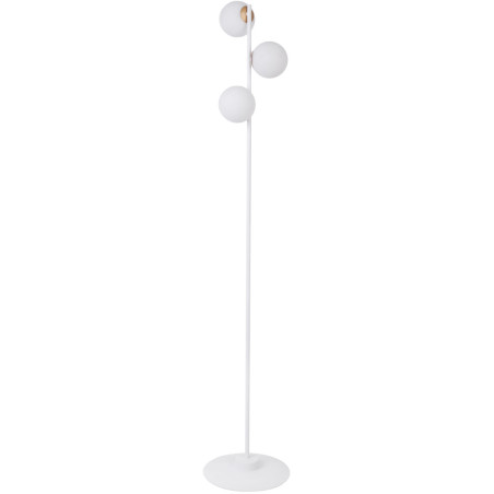 Lampa podłogowa GAMA 50204 SIGMA