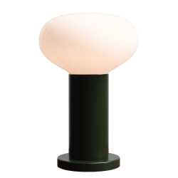 NOWOŚĆ LAMPKA BIURKOWA FLO MOSS S(żarówki w zestawie) Aldex