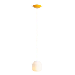 NOWOŚĆ LAMPA WISZĄCA FLASK MIMOSA S(żarówki w zestawie) Aldex