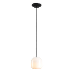 NOWOŚĆ LAMPA WISZĄCA FLASK ORCHID S(żarówki w zestawie) Aldex