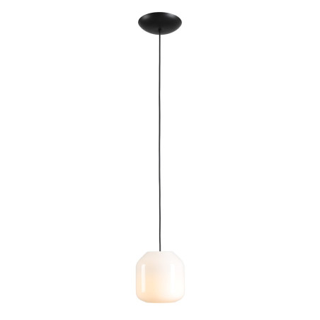 NOWOŚĆ LAMPA WISZĄCA FLASK ORCHID S(żarówki w zestawie) Aldex