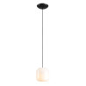 NOWOŚĆ LAMPA WISZĄCA FLASK ORCHID S(żarówki w zestawie) Aldex