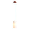 NOWOŚĆ LAMPA WISZĄCA FLASK TERRA M(żarówki w zestawie) Aldex
