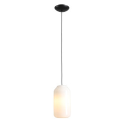NOWOŚĆ LAMPA WISZĄCA FLASK ORCHID M(żarówki w zestawie) Aldex