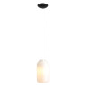 NOWOŚĆ LAMPA WISZĄCA FLASK ORCHID M(żarówki w zestawie) Aldex