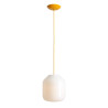 NOWOŚĆ LAMPA WISZĄCA FLASK MIMOSA L(żarówki w zestawie) Aldex