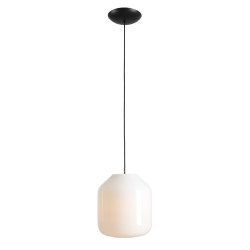 NOWOŚĆ LAMPA WISZĄCA FLASK ORCHID L(żarówki w zestawie) Aldex