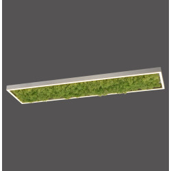 NOWOŚĆ 15623-66 GREEN KNUT LAMPA SUFITOWA NATURALNY MECH ZUMA LINE