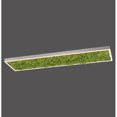 NOWOŚĆ 15623-66 GREEN KNUT LAMPA SUFITOWA NATURALNY MECH ZUMA LINE