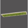 NOWOŚĆ 15623-66 GREEN KNUT LAMPA SUFITOWA NATURALNY MECH ZUMA LINE