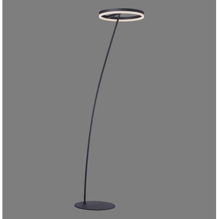 NOWOŚĆ 381-13 TITUS LAMPA PODŁOGOWA ANTRACYT ZUMA LINE
