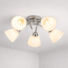 NOWOŚĆ ML2759 Lampa sufitowa CLARA 5xE27 Milagro