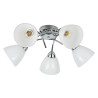 NOWOŚĆ ML2759 Lampa sufitowa CLARA 5xE27 Milagro