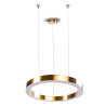 Lampa wisząca CIRCLE 120 LED mosiądz szczotkowany 120 cm ST-8848-120 brass Step into Design