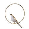 Lampa wisząca PTAK TIT LED złota 35 cm ST-9008P-1 Step into Design