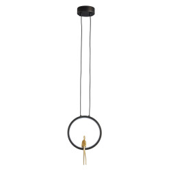 Lampa wisząca AMICI led czarno złota 27 cm ST-D7774 black Step into Design