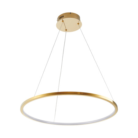 Lampa wisząca CIRCLE SLIM 60 LED złoty 60 cm ST-10112P-D600 Step into Design