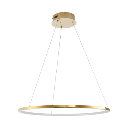 Lampa wisząca CIRCLE SLIM 60 LED złoty 60 cm ST-10112P-D600 Step into Design