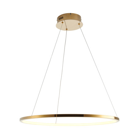 Lampa wisząca CIRCLE SLIM 60 LED złoty 60 cm ST-10112P-D600 Step into Design