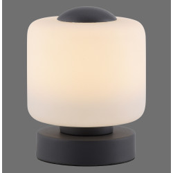 NOWOŚĆ 4037-13 BOTA LAMPA STOŁOWA ANTRACYT ZUMA LINE