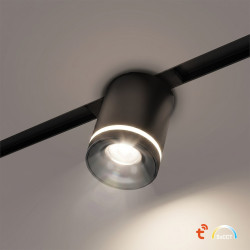 NOWOŚĆ ML2647 Magnetic Track 10mm Downlight 6W CCT 48V Milagro