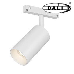 NOWOŚĆ 10113 REFLEKTOR MAGNETYCZNY DALI 12W CCT DT8 BIAŁY ZUMA LINE