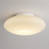 NOWOŚĆ ML2804 Lampa sufitowa Robin 11W LED Milagro
