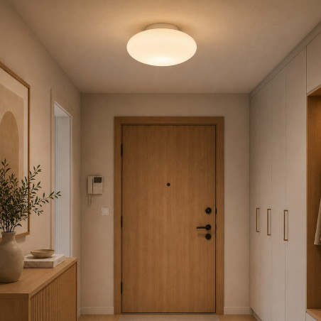 NOWOŚĆ ML2804 Lampa sufitowa Robin 11W LED Milagro