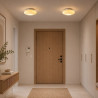NOWOŚĆ ML2805 Lampa sufitowa Robin Beige 11W LED Milagro
