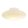 NOWOŚĆ ML2806 Lampa sufitowa Robin 14W LED Milagro