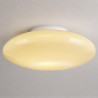 NOWOŚĆ ML2807 Lampa sufitowa Robin Beige 14W LED Milagro